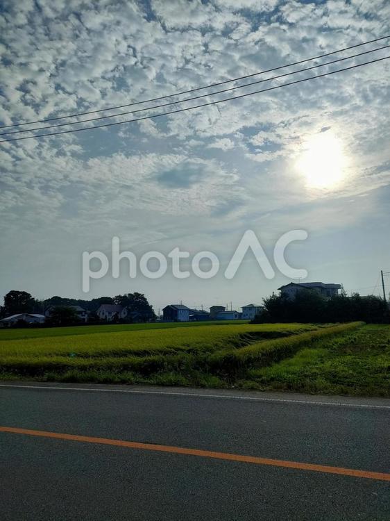 田舎の風景 田んぼ,太陽,空の写真素材