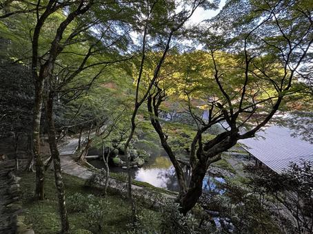 庭園 庭園,自然,ナチュラルの写真素材