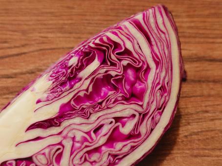 紫キャベツ 紫キャベツの写真