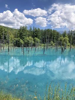 北海道 美瑛町 青い池 北海道 美瑛町 青い池 観光,北海道,美瑛町の写真素材