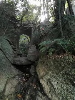 まるで異世界への入り口 自然,森,岩の写真素材