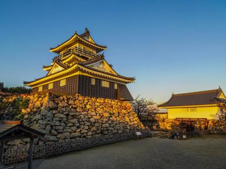 【静岡県】浜松市・浜松城 浜松城,浜松市,浜松城公園の写真素材