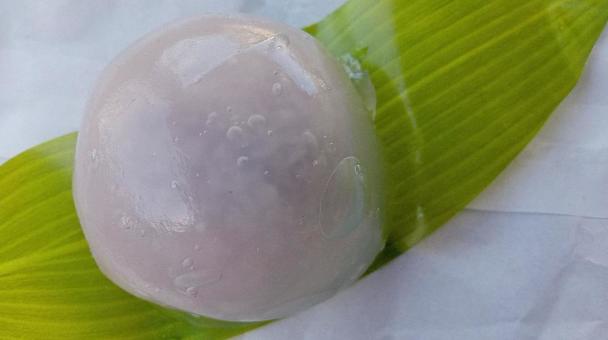 Kudzu cake (kudzu steamed bun), JPG