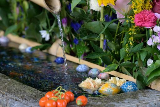 花手水 花手水,手洗い,神聖の写真素材