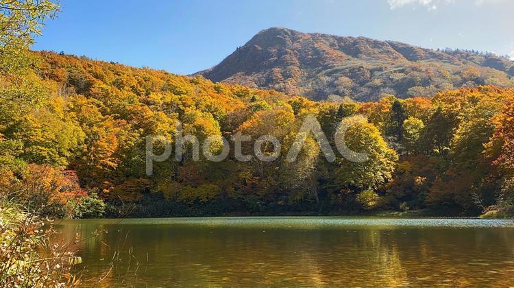 蔵王スキー場　片貝沼 蔵王,紅葉,景色の写真素材