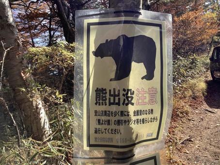 熊出没 熊出没の写真