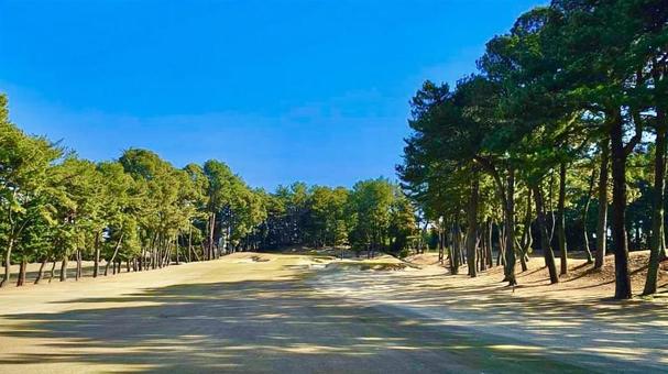 ゴルフ ゴルフの写真