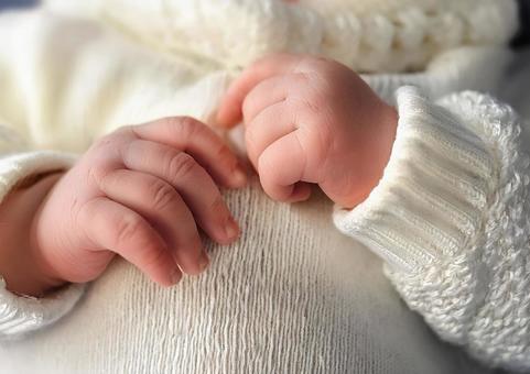 新生児の赤ちゃんの手 新生児の赤ちゃんの手の写真
