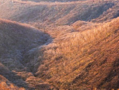 初冬の霧降高原 初冬の霧降高原 日光,美しい,きれいの写真素材