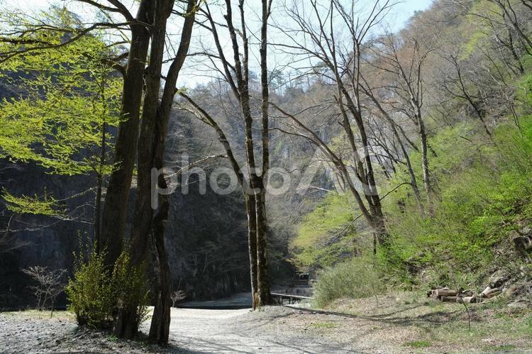 猊鼻渓　日本三大渓流の名勝　遊歩道 猊鼻渓,岩手,一関市の写真素材