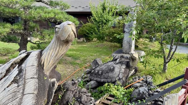 カメ カメ ほったらかし温泉,温泉,日の出の写真素材