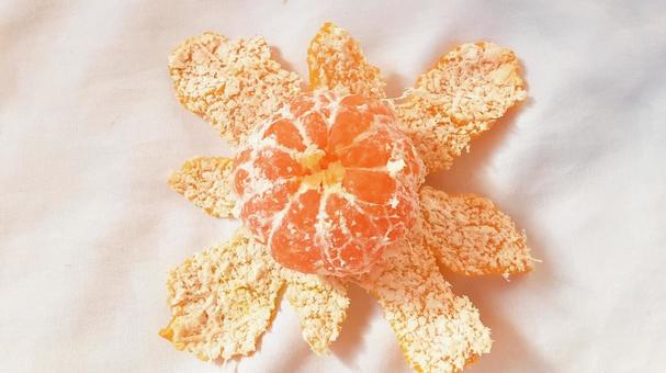 皮をむいたみかん・2 みかん,果物,食べ物の写真素材