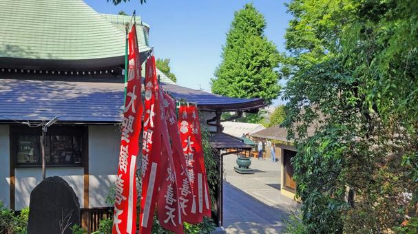 坂東33観音 14番 弘明寺 境内の風景 坂東33観音 14番 弘明寺 境内の風景 弘明寺,瑞應山,本堂の写真素材
