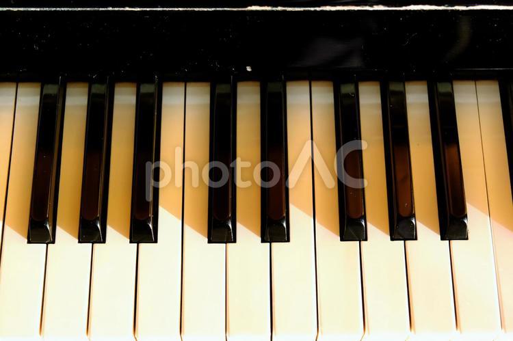 朝陽を浴びるピアノの鍵盤４ 鍵盤,ピアノ,音楽の写真素材