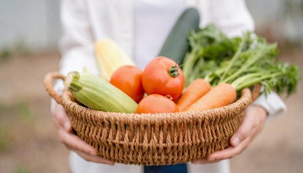 かごに入った夏野菜を持つ女性の手もと かごに入った夏野菜を持つ女性の手もとの写真