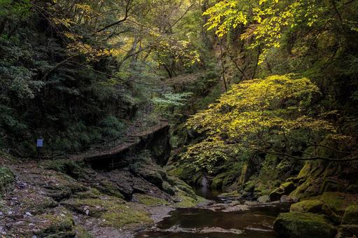 三重-【赤目四十八滝（紅葉）】 赤目四十八滝,赤目四八滝,川の写真素材
