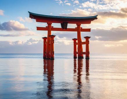 海の鳥居 海の鳥居の写真