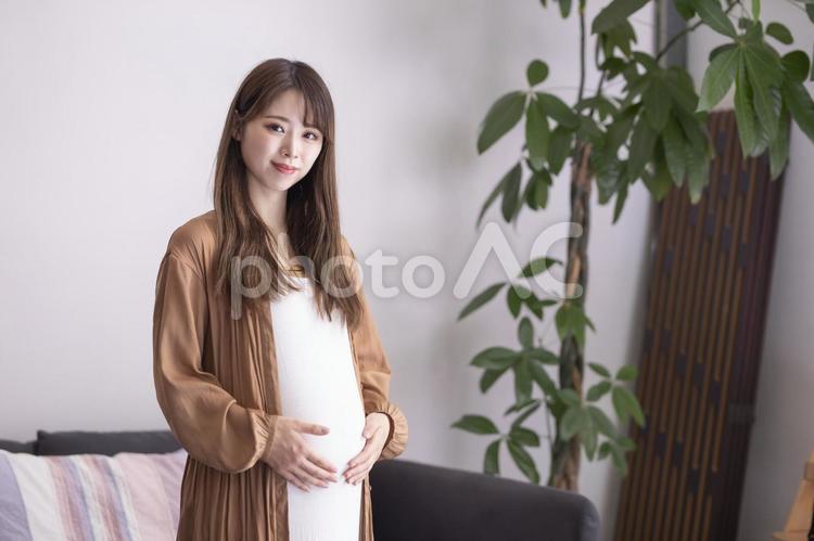 マタニティ／妊婦のイメージ 妊婦,妊娠,マタニティの写真素材