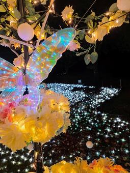 虹の郷　イルミネーション イルミネーション,クリスマス,夜景の写真素材