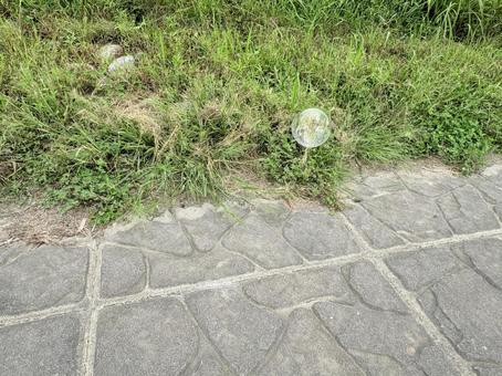 草むらに寄り添う透明な球体 草むらに寄り添う透明な球体 シャボン玉,虹色,石畳の写真素材
