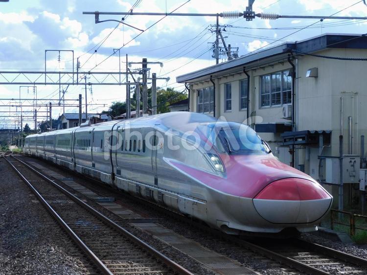 秋田新幹線こまち号 鉄道,子どもが喜ぶ,こまちの写真素材