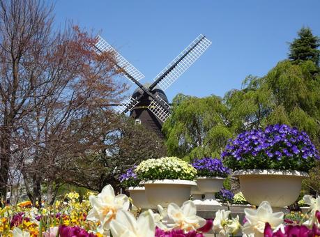 Andersen Park in April-105, JPG