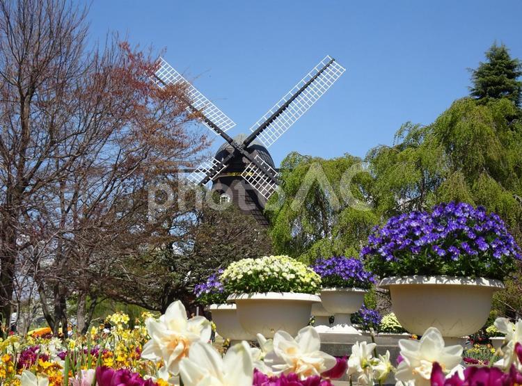 四月のアンデルセン公園-105 四月,ふなばしアンデルセン公園,千葉県船橋市の写真素材