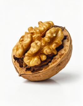 白い背景にクルミの写真