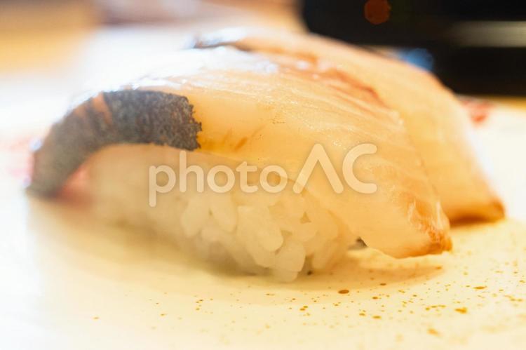 シマアジのにぎり寿司 シマアジ,にぎり寿司,寿司の写真素材