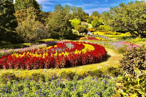 花畑 花,自然,風景の写真素材