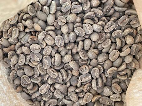 コーヒー豆の生豆 ビーンズ,生豆,珈琲豆の写真素材