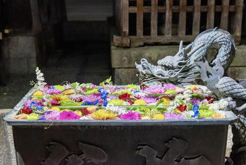 楊谷寺の龍と彩り豊かな花手水の美しい風景 楊谷寺の龍と彩り豊かな花手水の美しい風景の写真