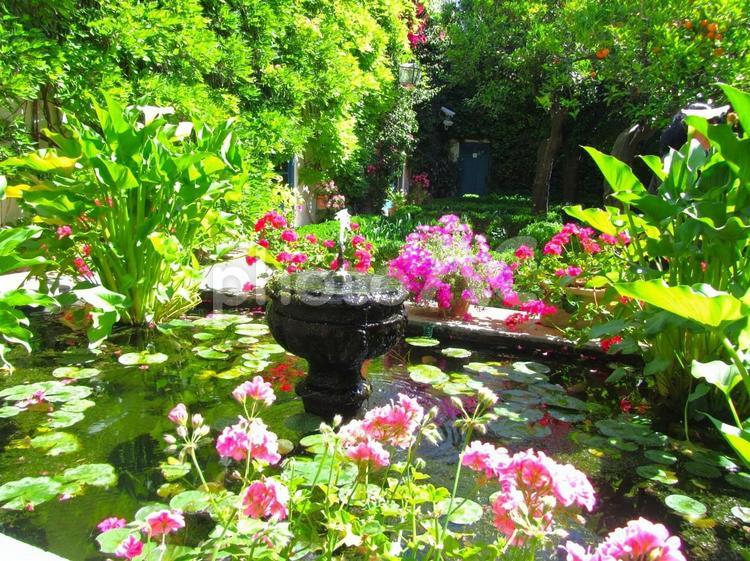 ヴィアナ宮殿　噴水のある庭園 ヴィアナ宮殿,庭園,中庭の写真素材
