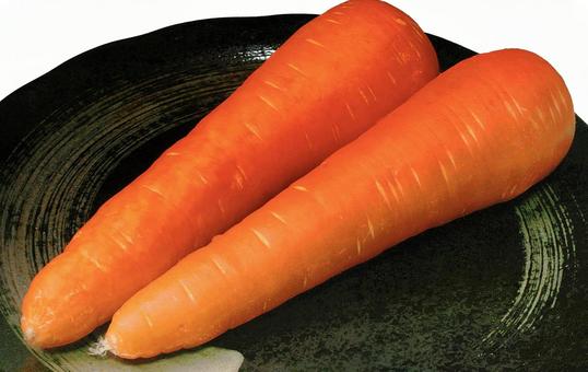 人参-06 人参-06 人参,野菜,食べ物の写真素材