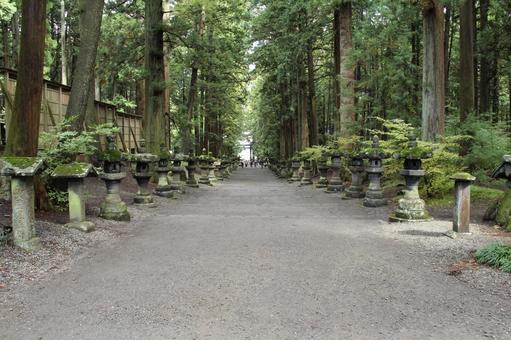 浅間神社 浅間神社 自然,山道,木の写真素材