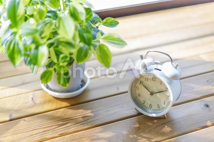 木材の上に置かれた目覚まし時計 時間,目覚まし,目覚まし時計の写真素材
