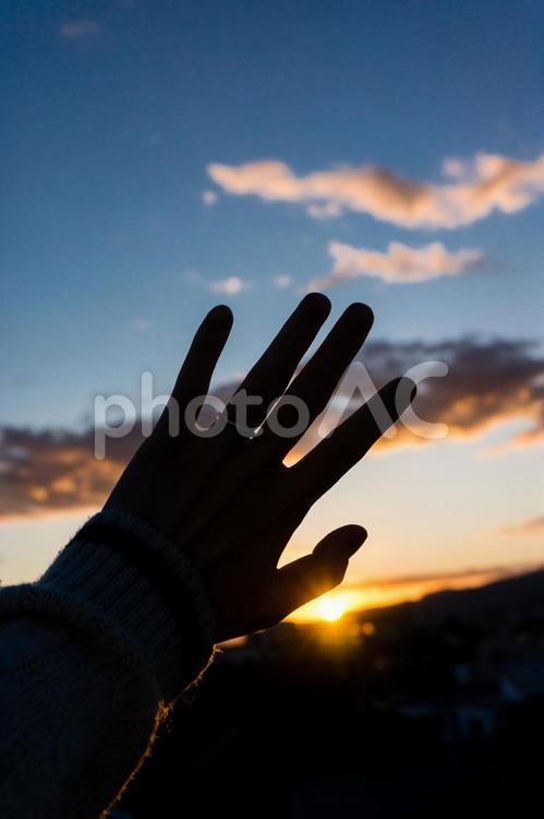 夕焼けシルエット 夕焼け,シルエット,手の写真素材