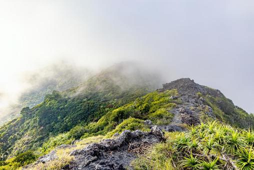 小笠原諸島・父島　傘山の風景 父島,小笠原諸島,傘山の写真素材