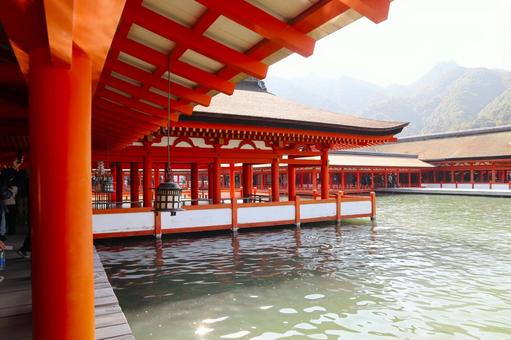 厳島神社02 厳島神社,宮島,広島県の写真素材