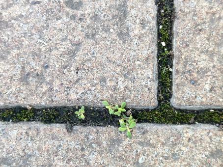 Photo, block, block gap, small world, 
