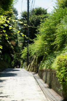 ［神奈川県鎌倉市］亀ケ谷坂切通 切通,鎌倉,亀ケ谷坂切通の写真素材