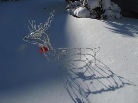 雪の上に影を落とすトナカイの冬の装飾 雪,冬,冬景色の写真素材