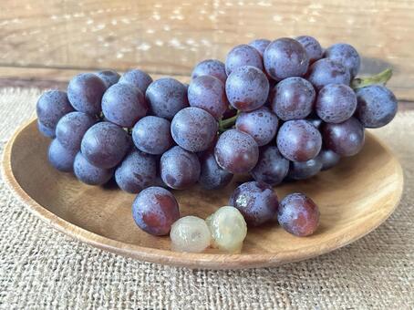 ぶどう　スチューベン ぶどう,スチューベン,フルーツの写真素材