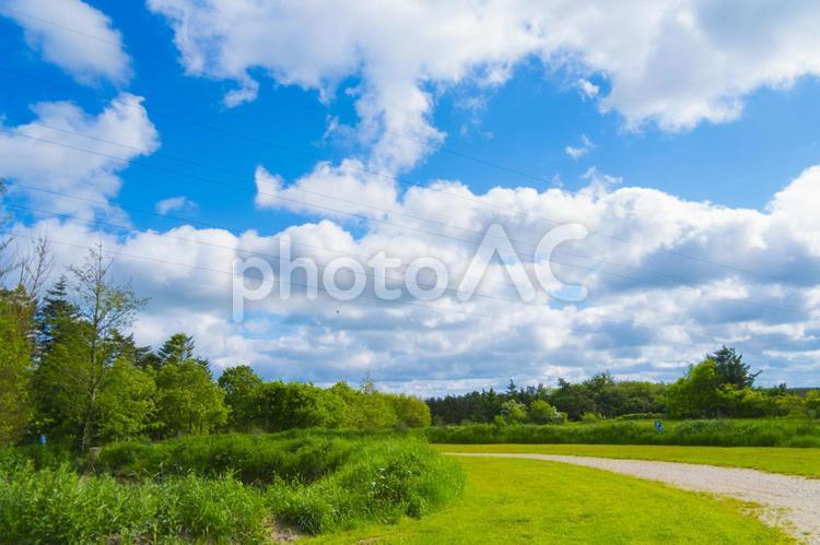 デンマークの青空と草原あと何もない 空,青空,キラキラの写真素材