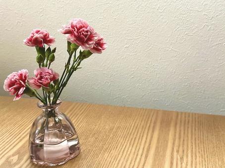 カーネーション2の写真