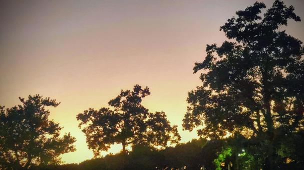 夕景 夕景 夕日,空,夕焼けの写真素材