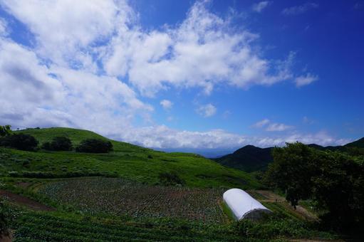 北九州 平尾台の風景 北九州 平尾台の風景の写真