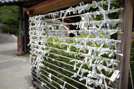 Omikuji Knotting Place / Omikuji at the Temple, JPG Omikuji Knotting Place / Omikuji at the Temple, JPG