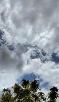 空202306100138 空202306100138の写真