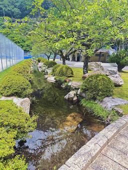 下北山公園 夏の公園 下北山公園 夏の公園 奈良県下北山村,アウトドア,温泉の写真素材